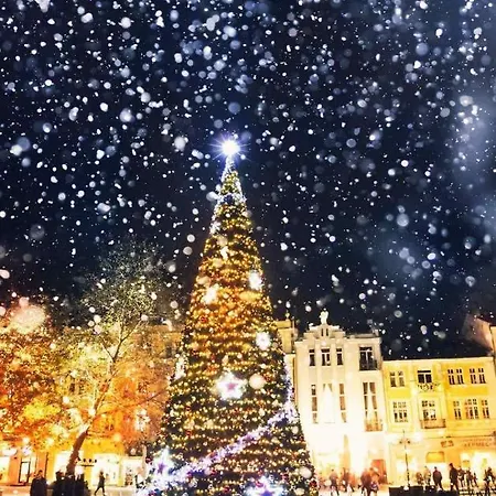 Atlas House Luxury Konukevi Filibe